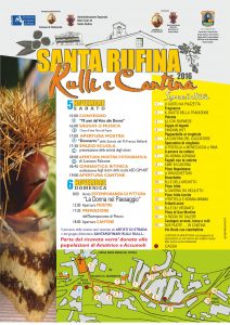 santa-rufina-rulli-e-cantina