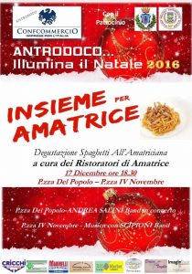 insieme-per-amatrice_locandina