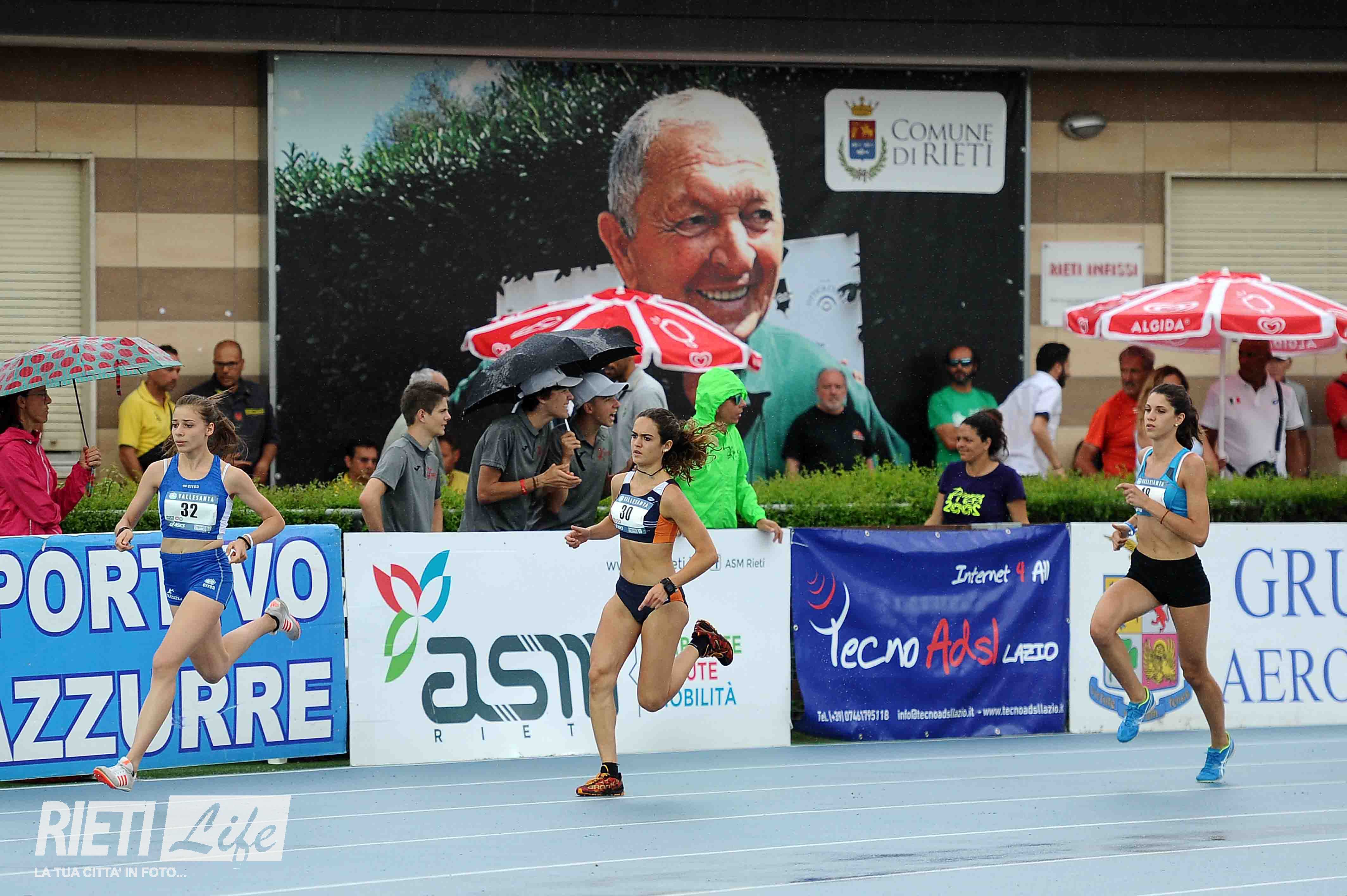 grande micio Picture com