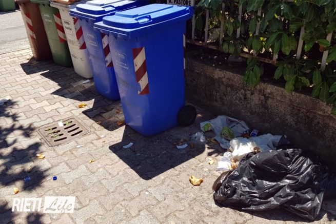 Secchio dell'umido rotto e pieno ma Asm non è intervenuta come doveva -  Rieti Life